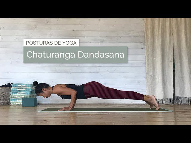 Chaturanga yoga significado